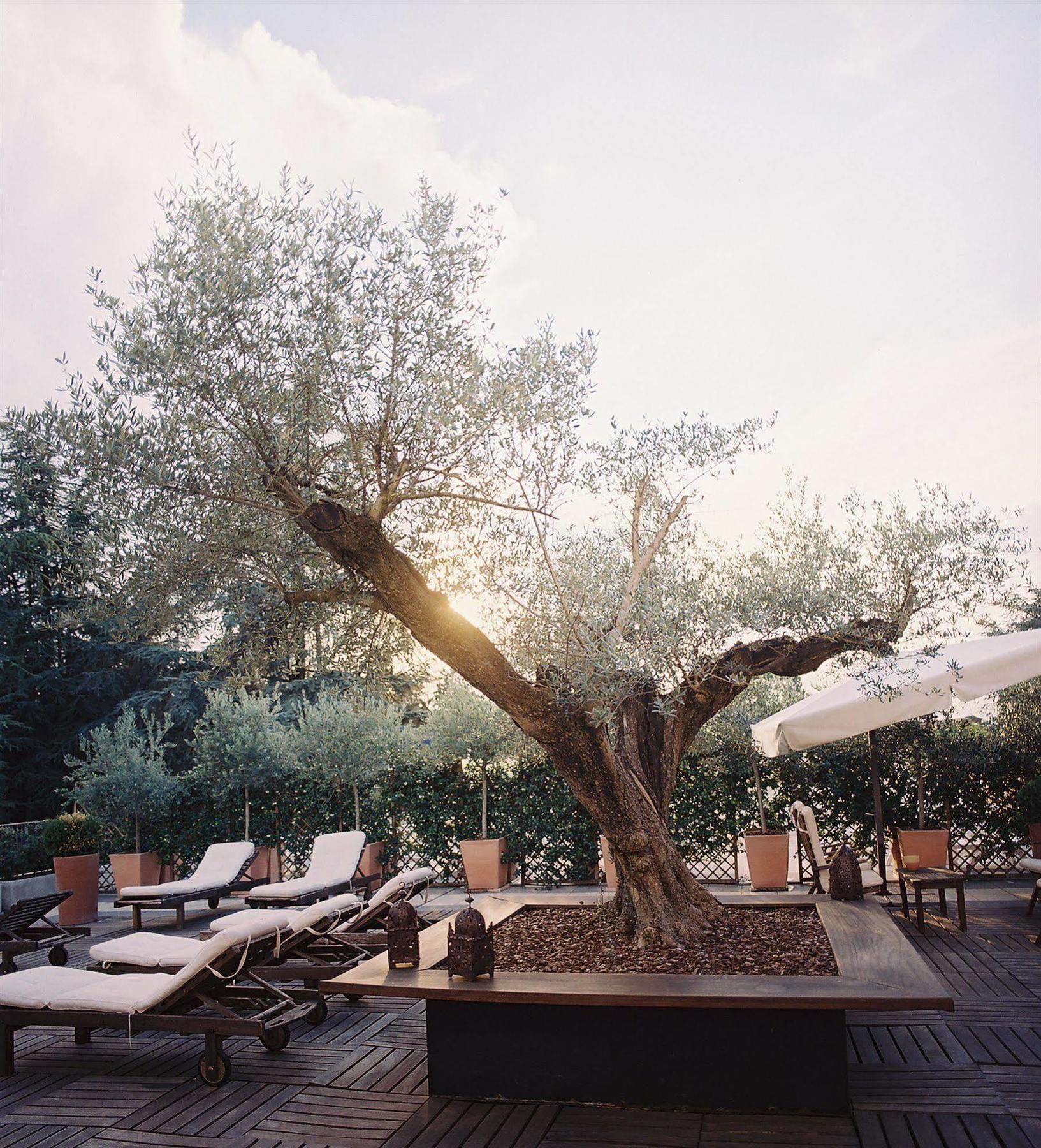 Hotel Terme Monticelli Terme Εξωτερικό φωτογραφία